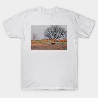 Painted Hill - White-tailed deer T-Shirt